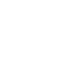 icon-in
